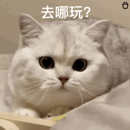 骚骚贱贱的表情包!死鬼 变态!