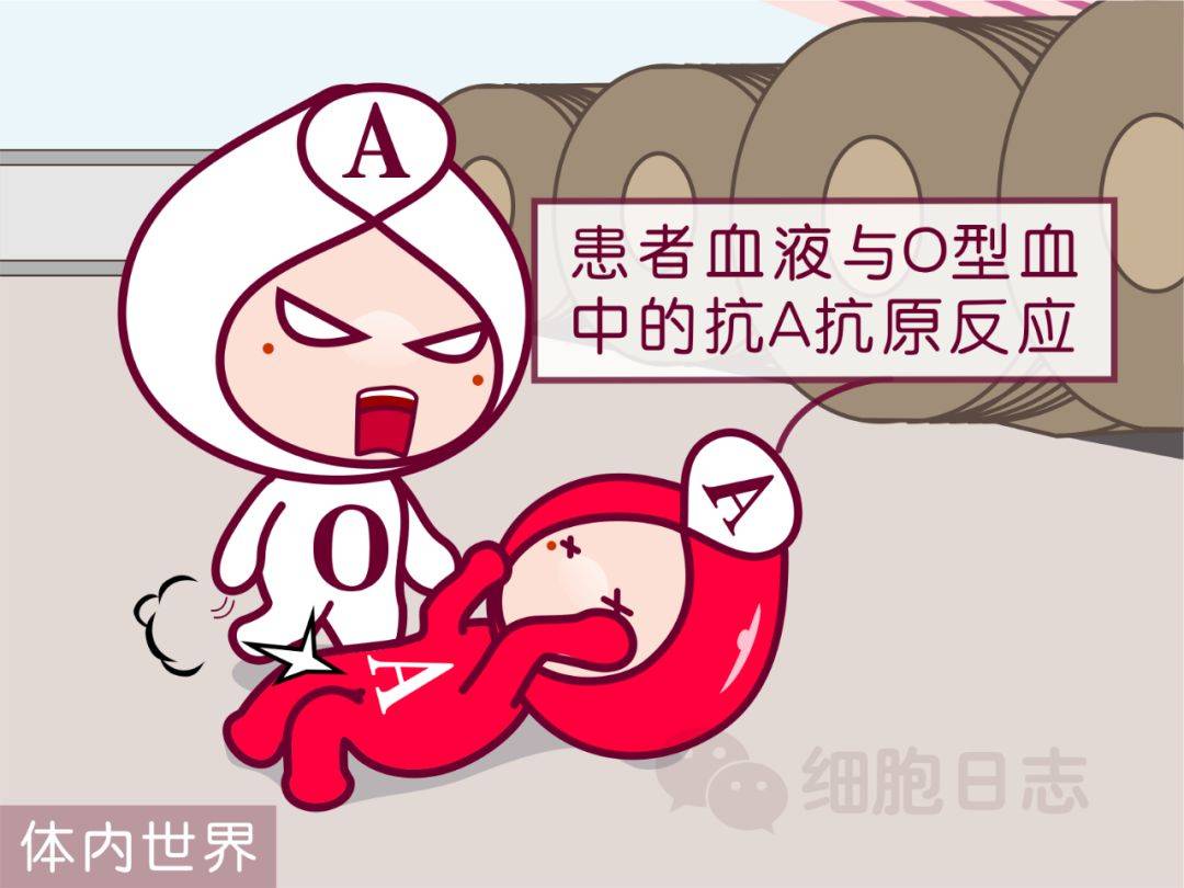 献血科普丨其实输血离我们很近!_血液_患者_反应