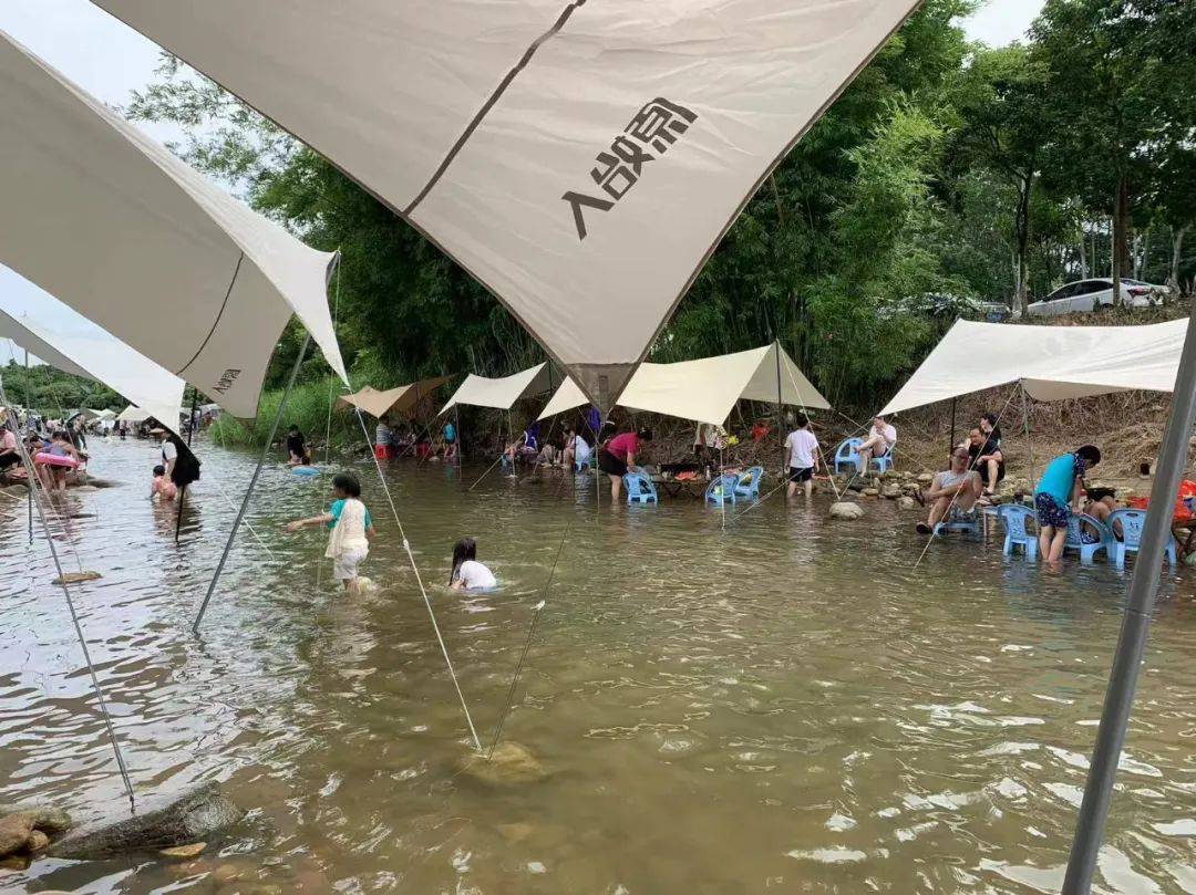 提醒!东莞人不要再去这里游泳了!