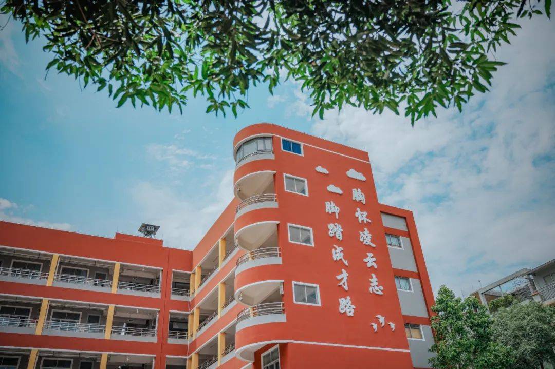 2024年,大良街道正在推进西山小学滨江学校和鉴海小学两所老旧学校的"