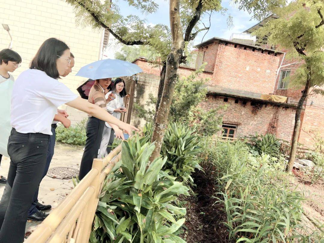 助力"百千万工程" | 三水区妇联到南山镇指导"美丽庭院"建设工作