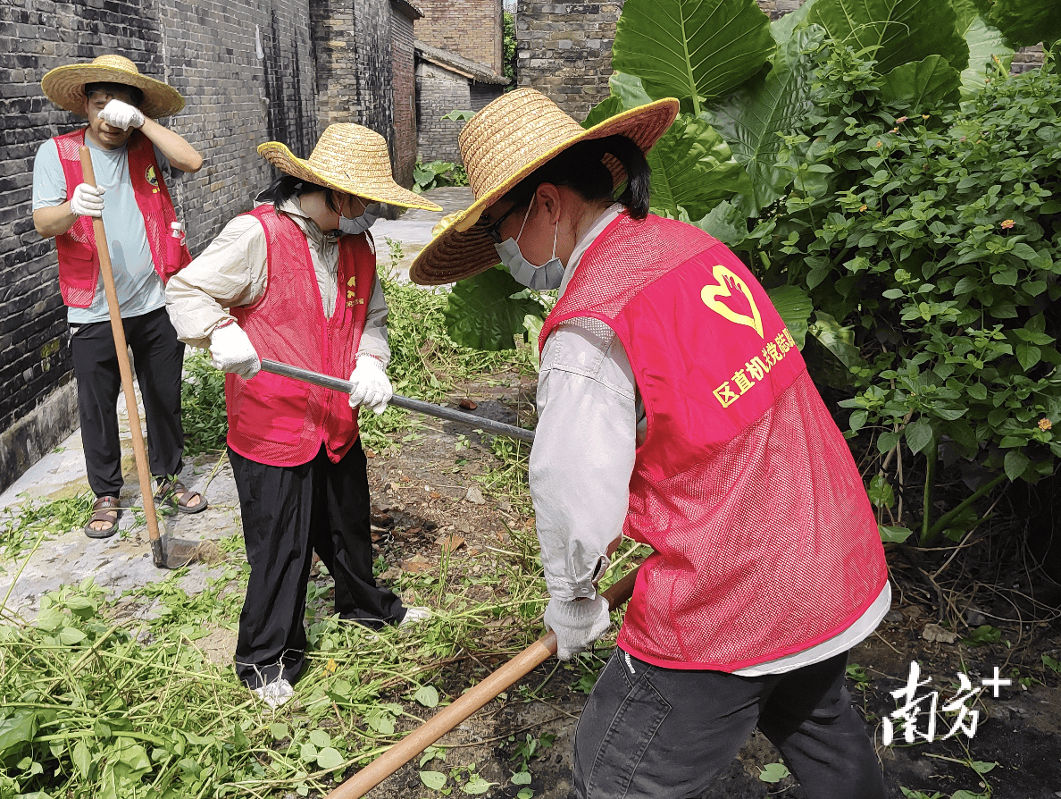 村貌靓起来!高明明城凝聚合力,持续攻坚农村人居环境整治