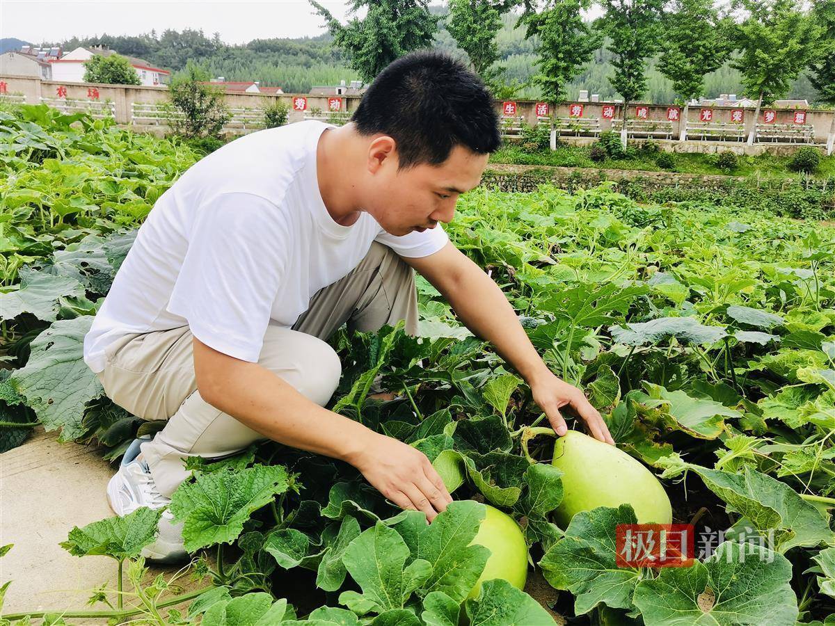 南方影视：澳门六开奖结果2023开奖记录-青岛思达管理顾问有限公司中标4986960元青岛市即墨区环秀街道办事处教育服务采购项目