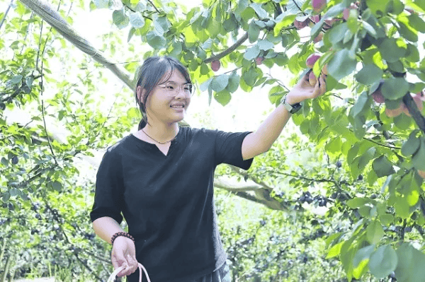 乌当区:从荒地到“省级示范家庭农场”的嬗变_西梅_冉敏_种植场