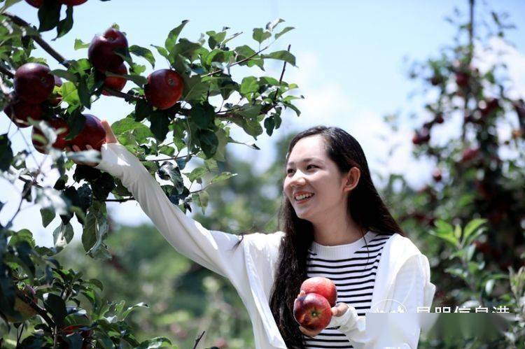 🌸【澳门一码一肖一特一中中什么号码】🌸_光明日报丨工业遗存变身文化新地标——河北石家庄推进城市更新助力文旅发展