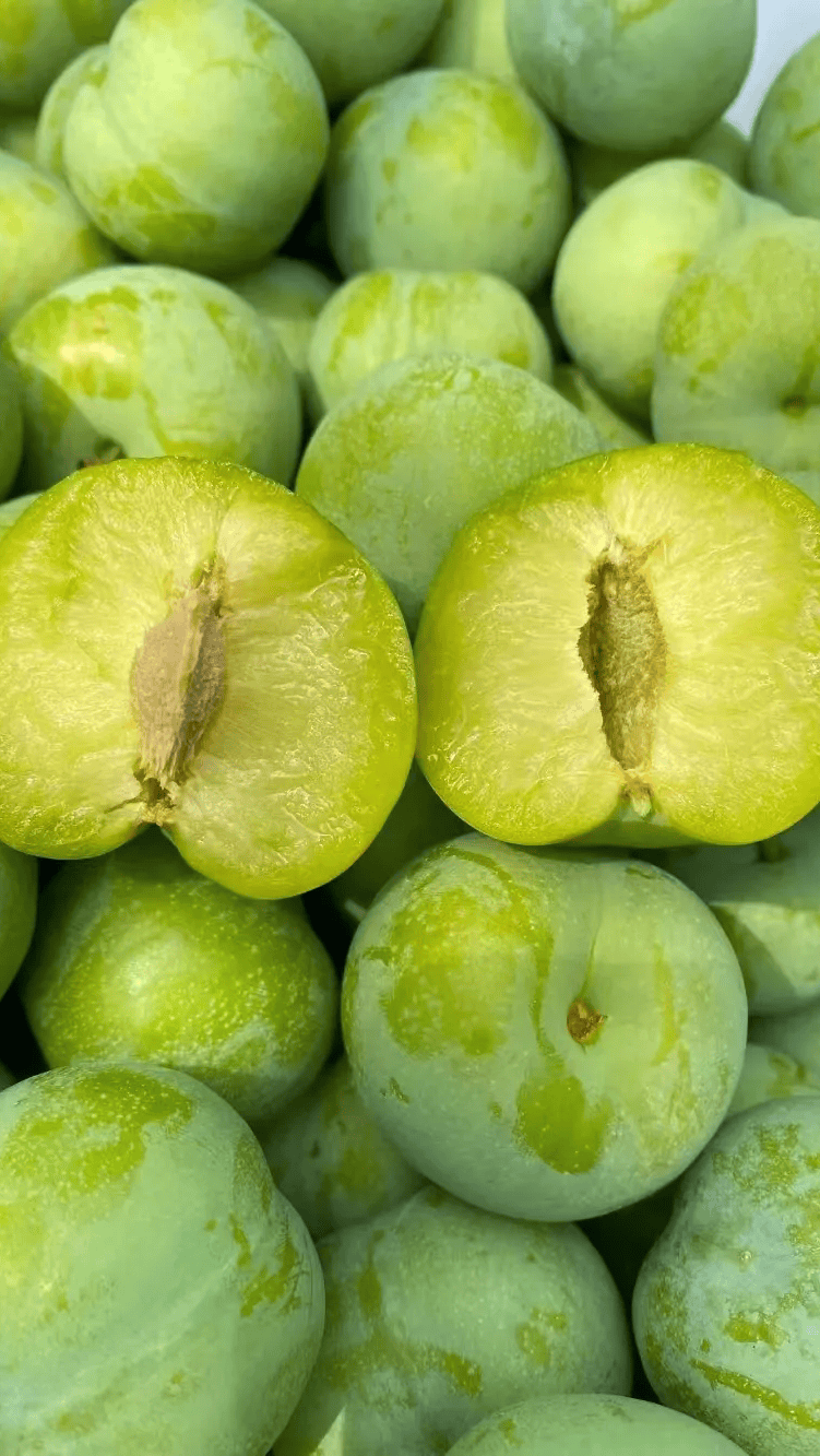 茂县_理县_李子