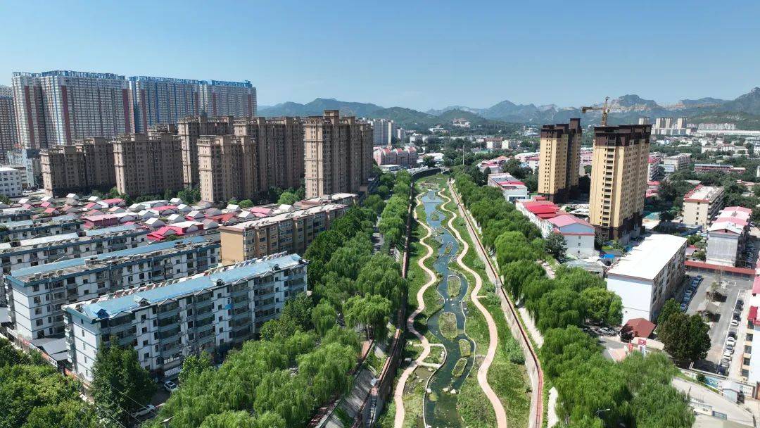 白鹭蹁跹生态美_石柏_公园_鹿泉