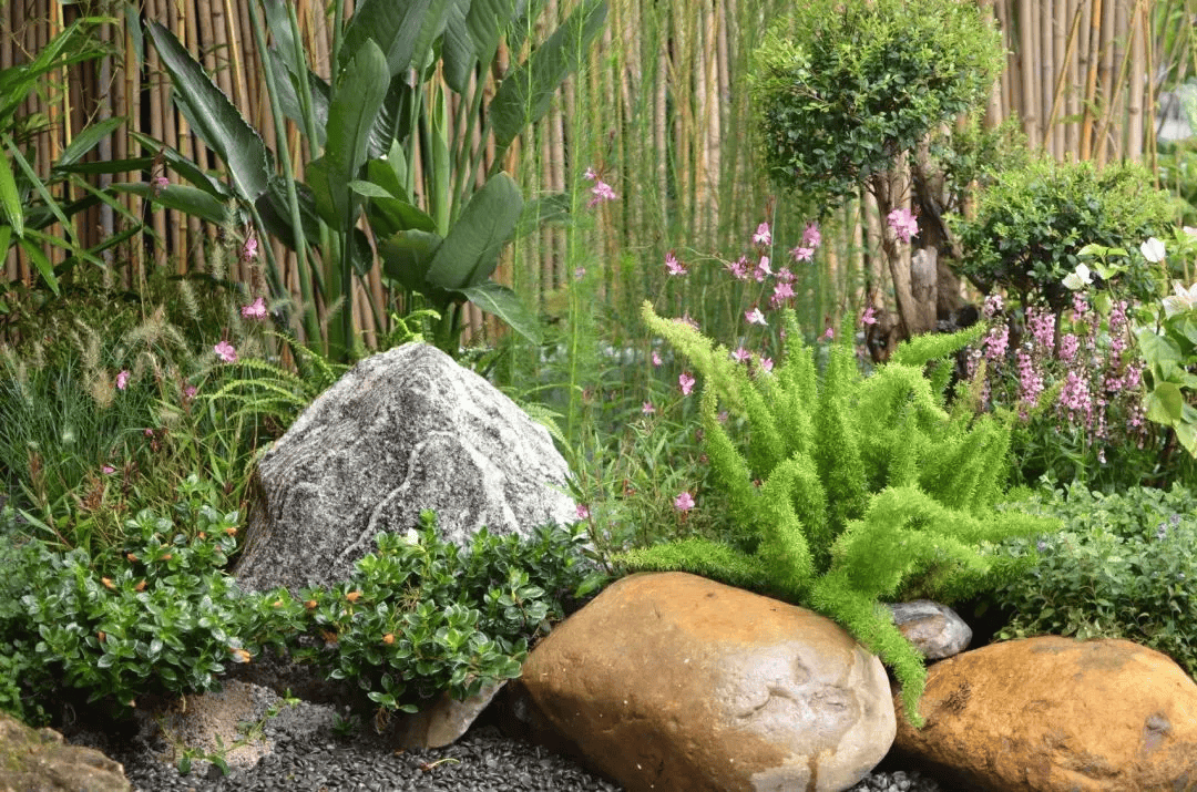 在庭院花园的建造中,植物是庭院生态中的重要组成,它们构成了