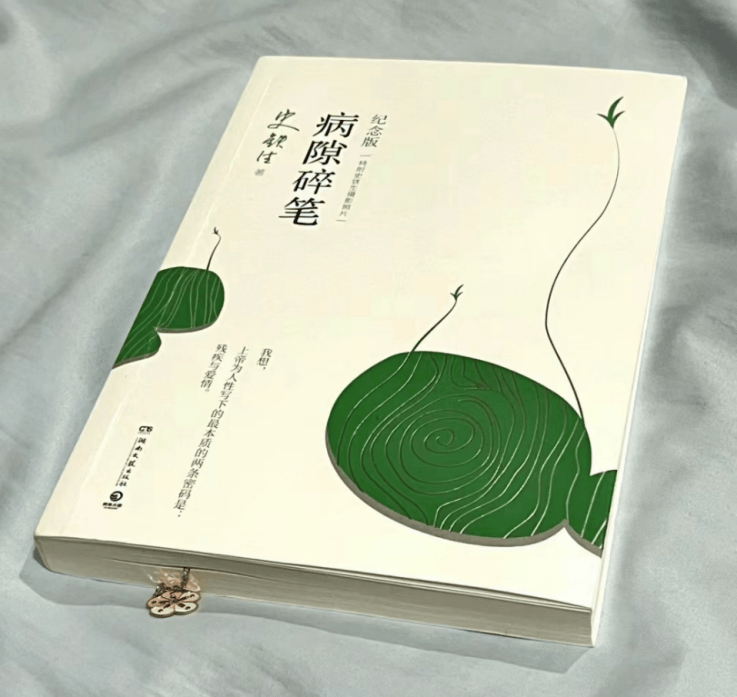 立秋 | 四季读书荟"秋风送凉"