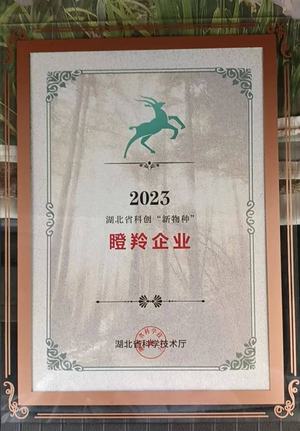 喜报 | 兴越新材荣获瞪羚企业称号!