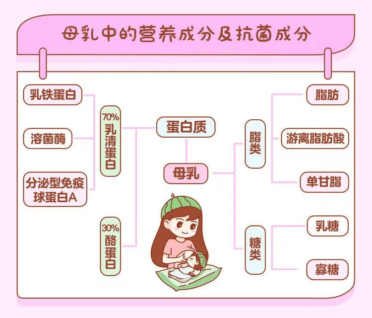 儿医·科普丨关于母乳喂养那些事