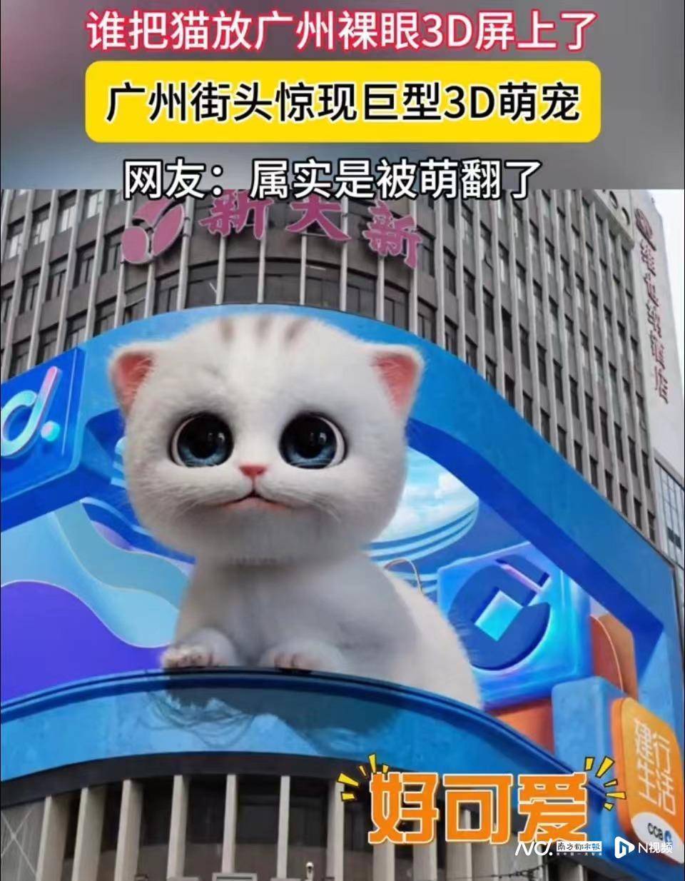 今晚去北京路看巨猫！国内首个媒体制作的裸眼3D视频上映