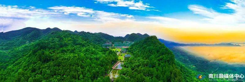 打卡"重庆森林",南川森林康养基地等你来"森呼吸"