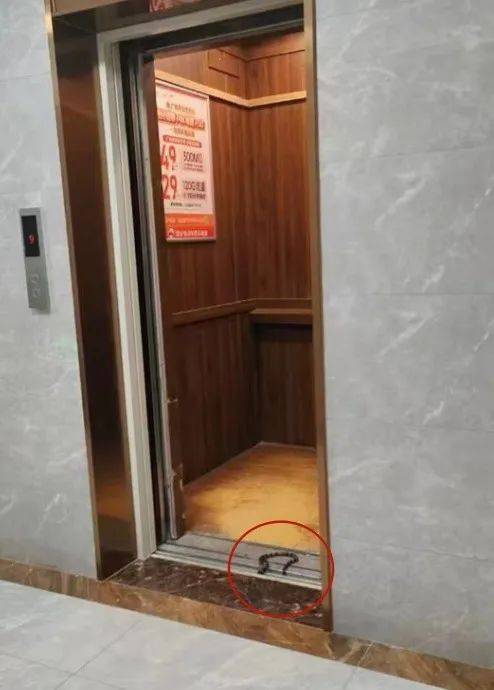 广东一小区电梯门连续4次关了又开,业主以为失灵,此时门缝中爬出一条