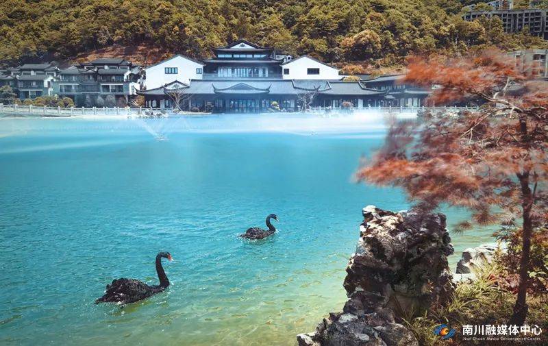 打卡"重庆森林",南川森林康养基地等你来"森呼吸"_黎香湖_汪新_运动