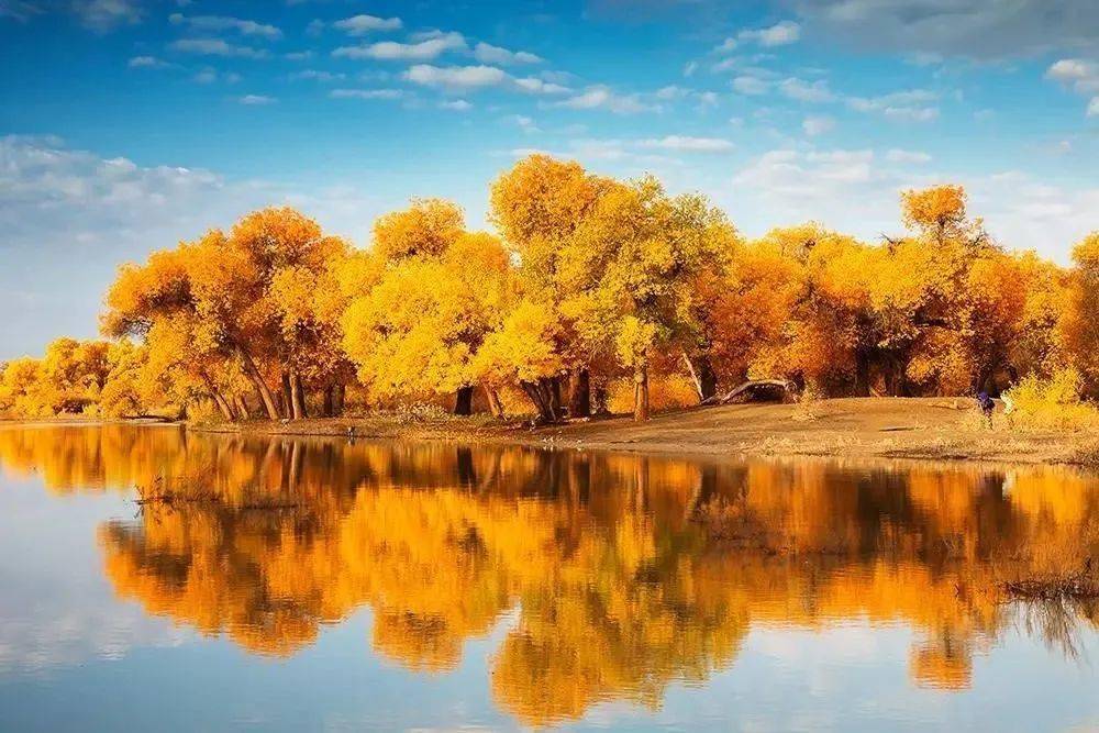 金秋南疆】9日摄影之旅,喀什,莎车老城,芦苇荡,盘龙古道,塔里木胡杨林