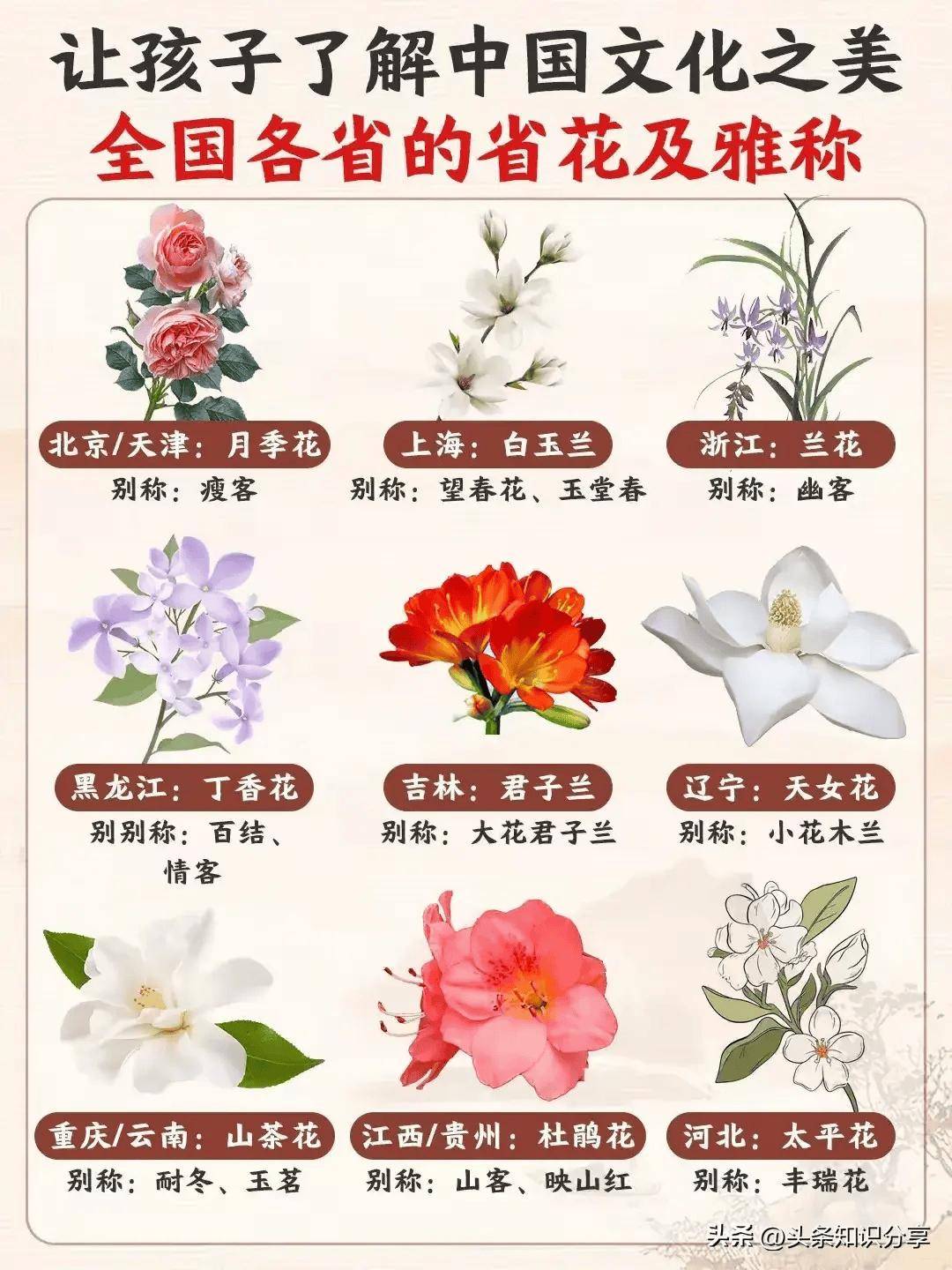 全国各省的省花及雅称!
