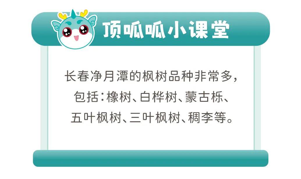 准备开抢~_神兽_顶呱呱_雾凇