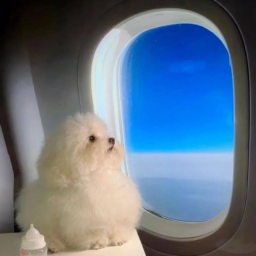 头像|没病的头像我不用