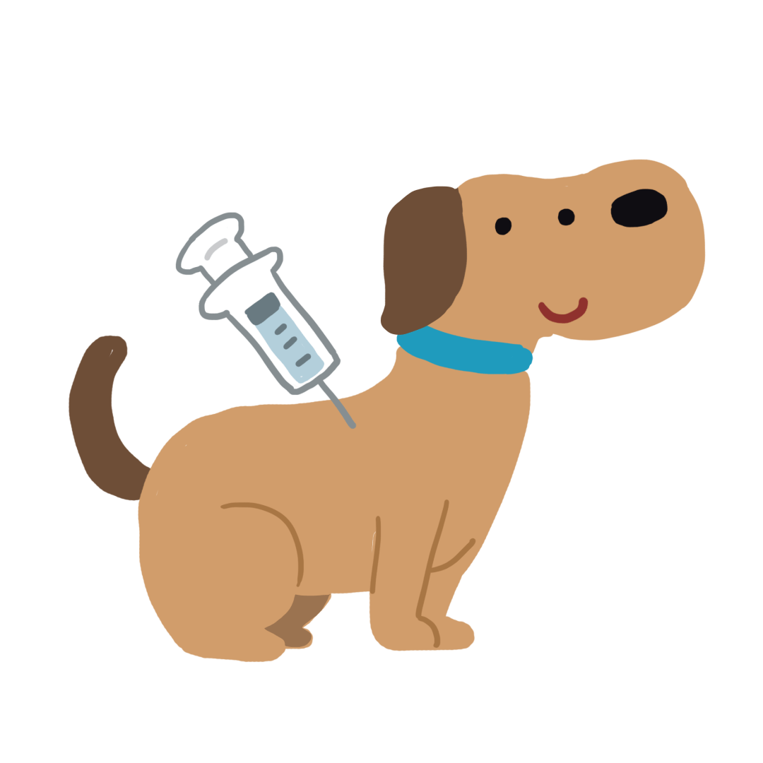 致死率100%的狂犬病,这些知识要熟记!