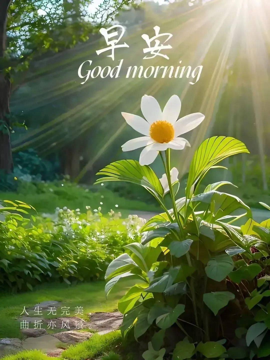8月13日早上好高清图片大全-早安吉祥,幸福安康!