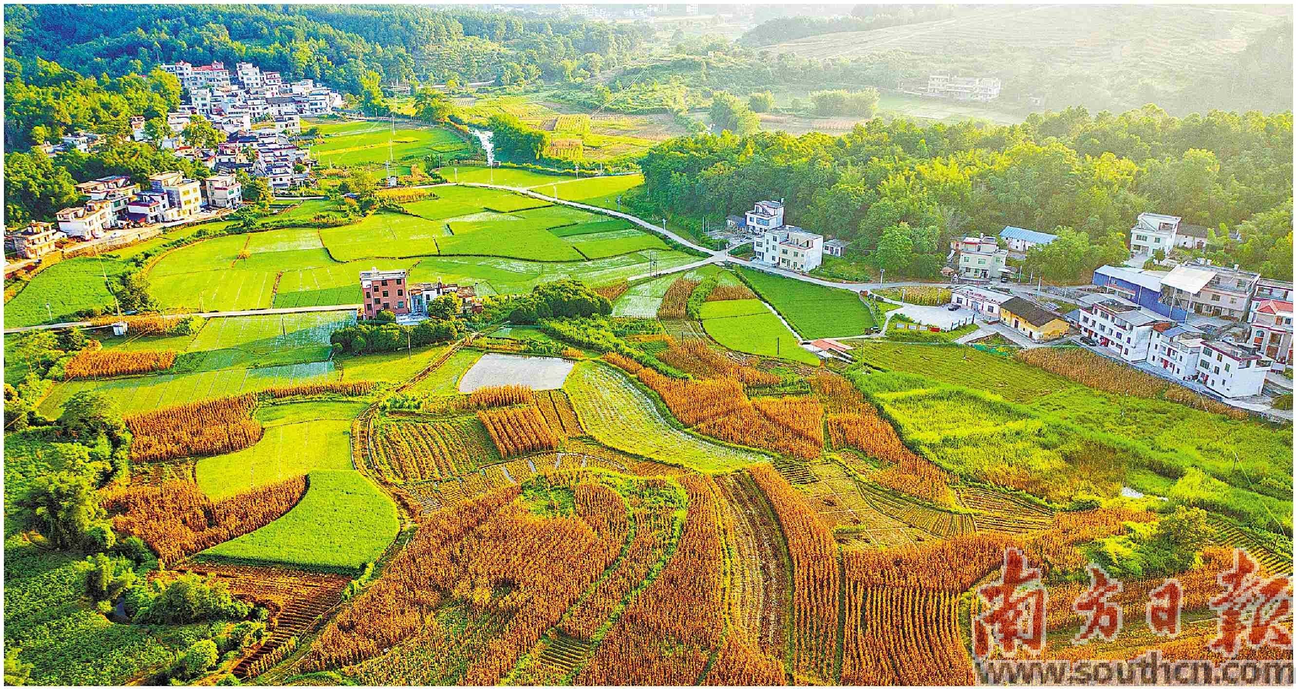 多彩田园美如画