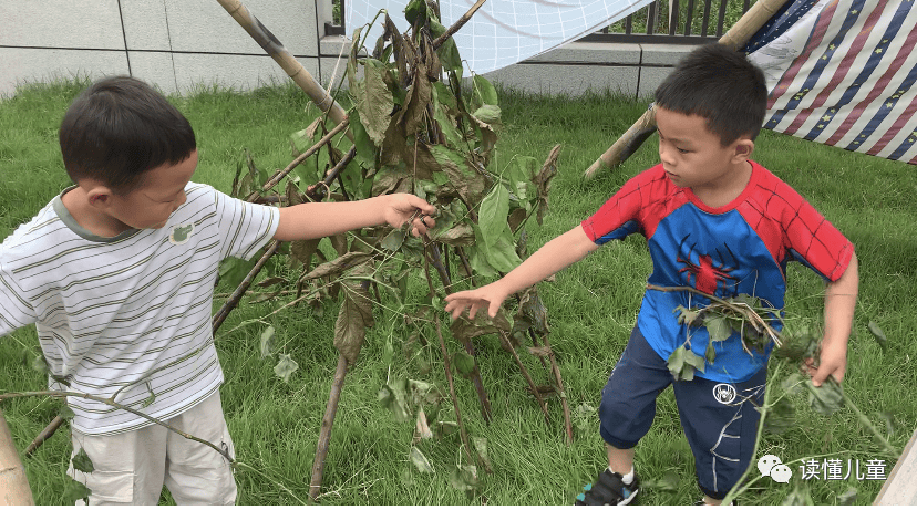 获奖案例 | 幼儿园的户外资源如何利用?看这群孩子如何把不起眼的树枝玩出了新花样!_秘密_小智_游戏