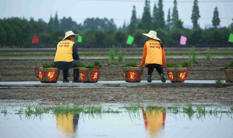 🌸中国搜索 【2024年澳门今晚开奖号码】_上海成为中国第一大城市，一大表现是其长时间内拥有中国最强大的民族工业