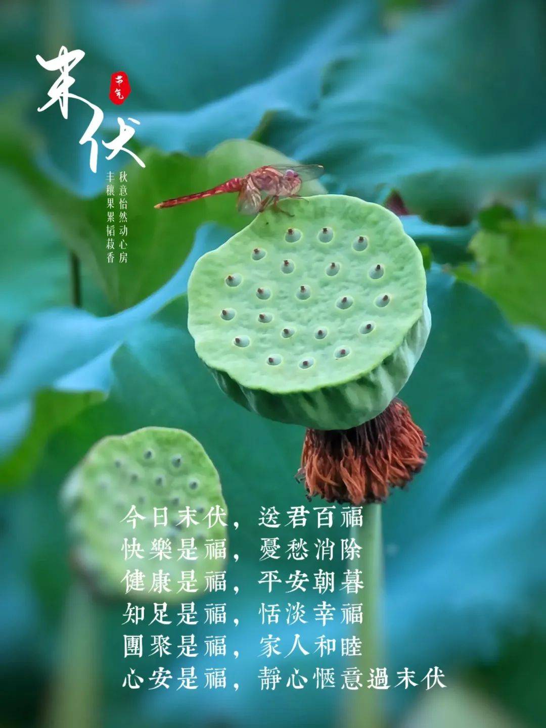 8月14日周三早上好,今日末伏漂亮祝福图片大全