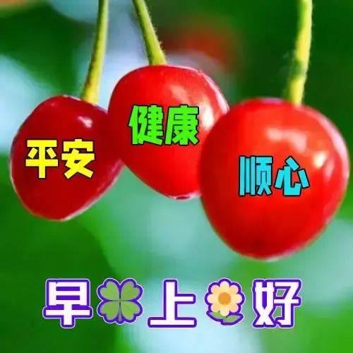清晨群发朋友圈的早上好图片动态,愿你微笑这天,愉悦永远!