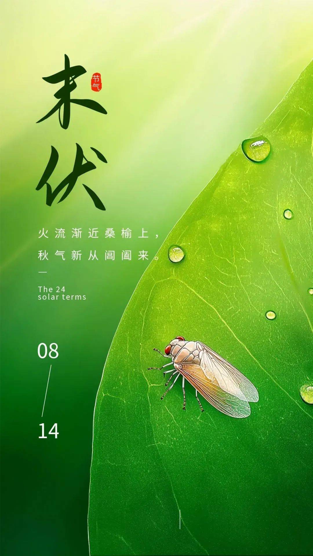 8月14日周三早上好,今日末伏漂亮祝福图片大全