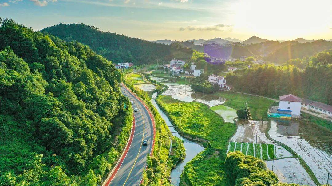 "家住湖南省浏阳市荷文公路沿线的刘金梅对公路赞不绝口.