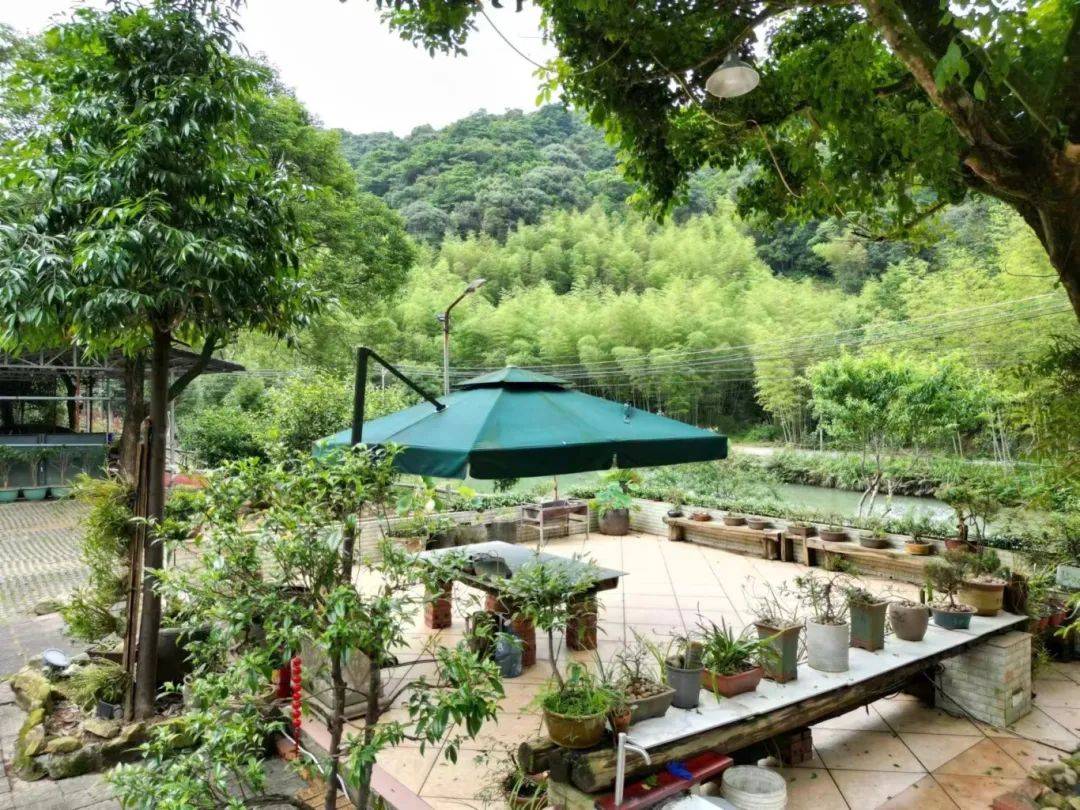 67省级"美丽庭院"村展播 | 龙门县南昆山生态旅游区花竹社区绘就"