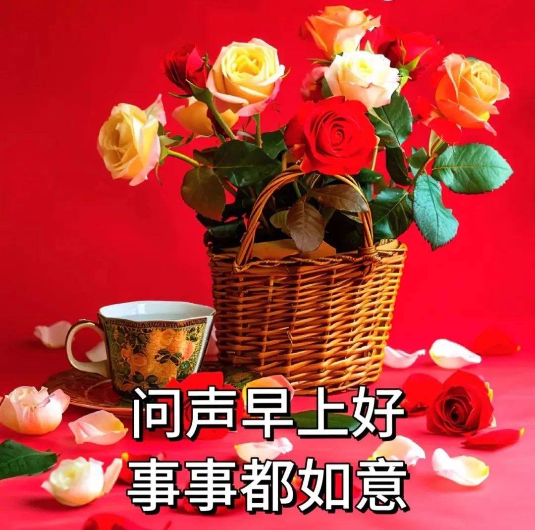 中老年早上好表情包大全