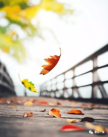 秋风秋雨秋意浓,年年四季皆不同.天高云淡风儿轻,秋高气爽惹人醉.