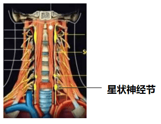 健康科普