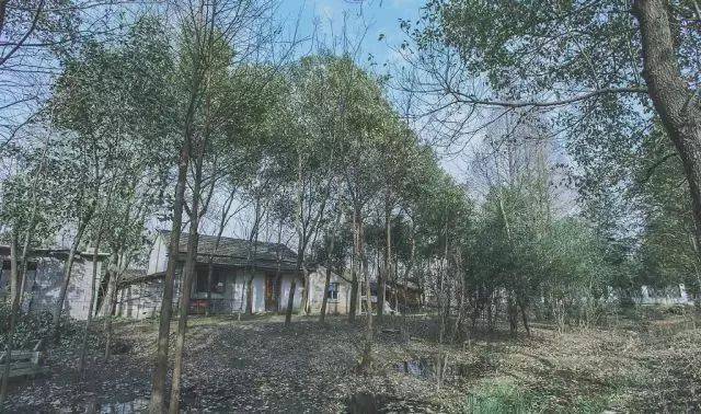 北漂后回村,他只花了1500元租房种地,刷新了农村生活!