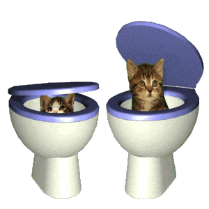 发癫的200张猫meme表情包