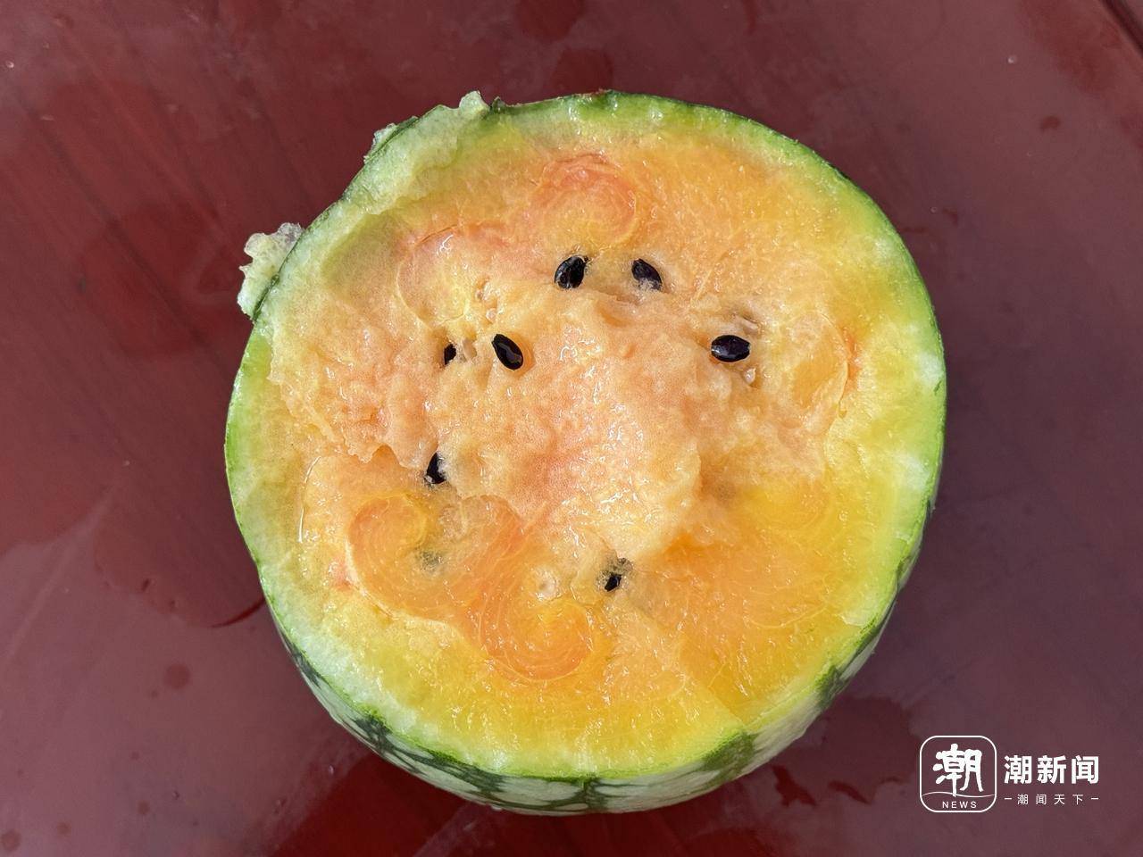 丽水村里种出"太空西瓜","吃瓜群众"的"梦中情瓜"来了