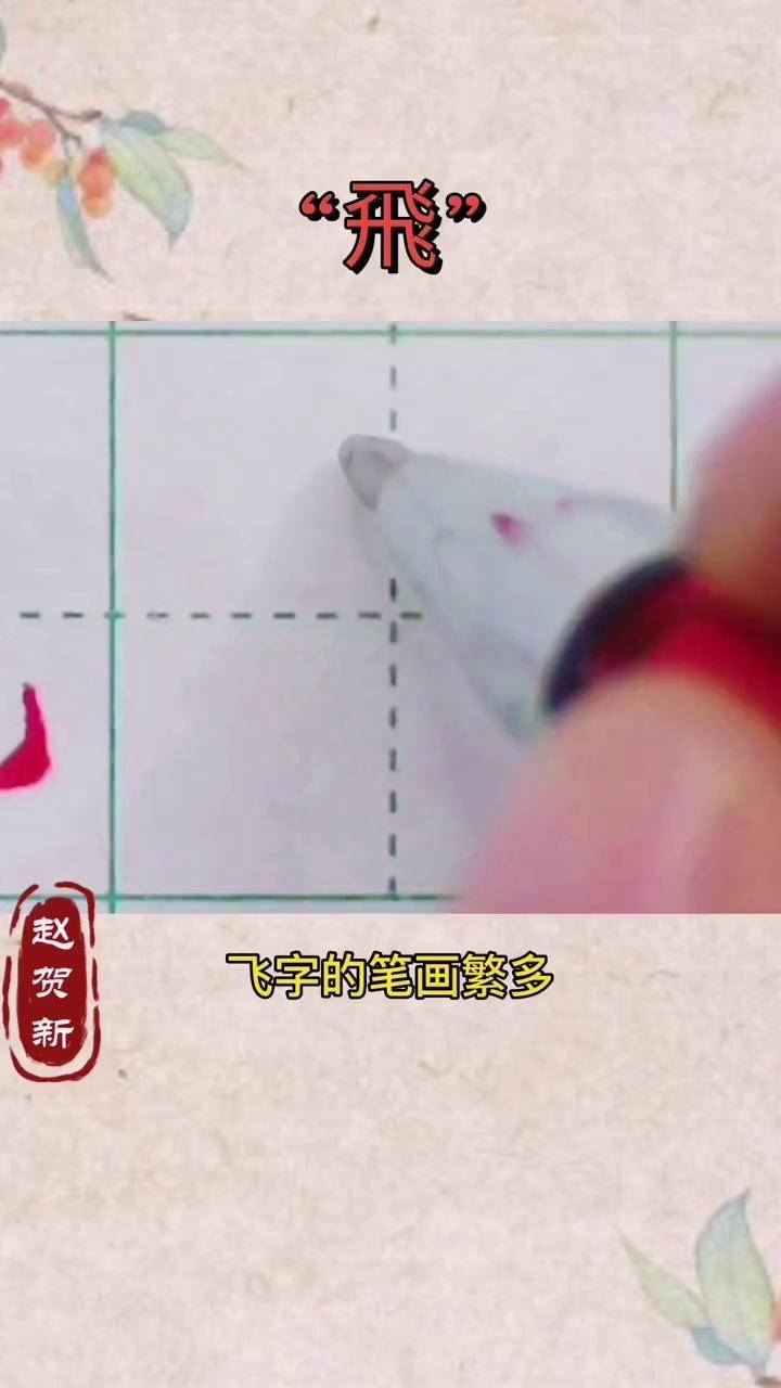 繁体字"飞"楷书 练字 书写 学写中性笔 硬笔书法 抖音文化站