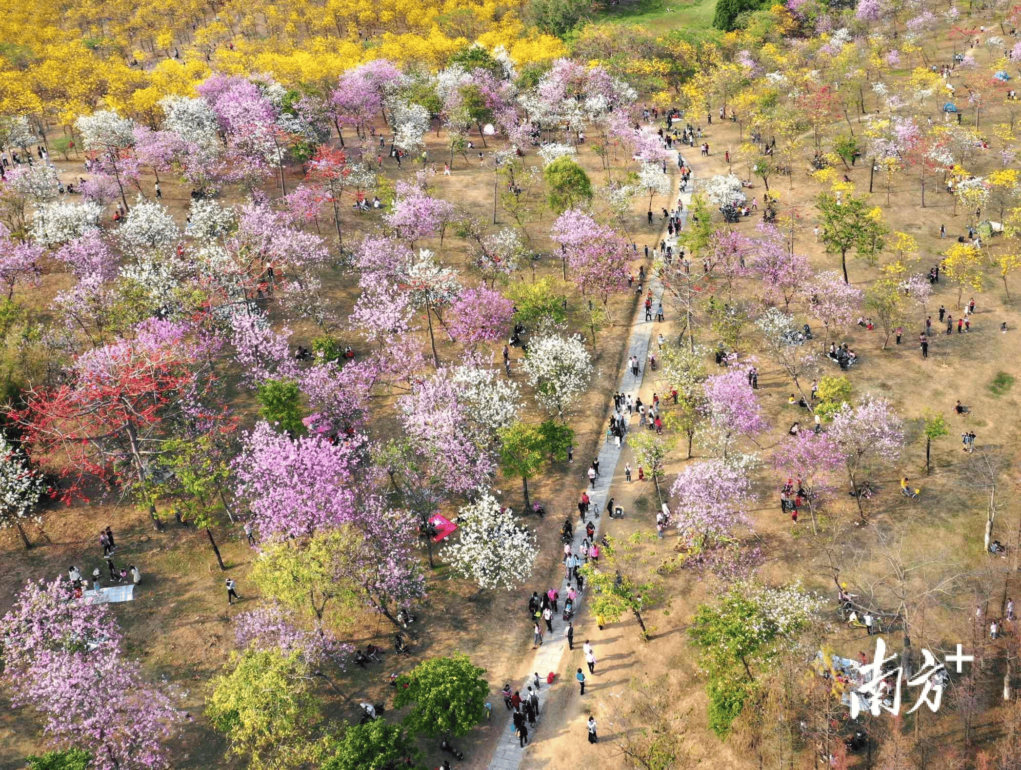 🌸【澳门最准一肖一码一码配套成龙W】🌸_探索城市地标 2024年成都城市定向赛9月21日在新津开启