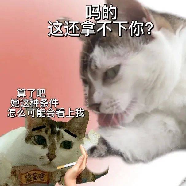 我想坐你大腿上|表情包