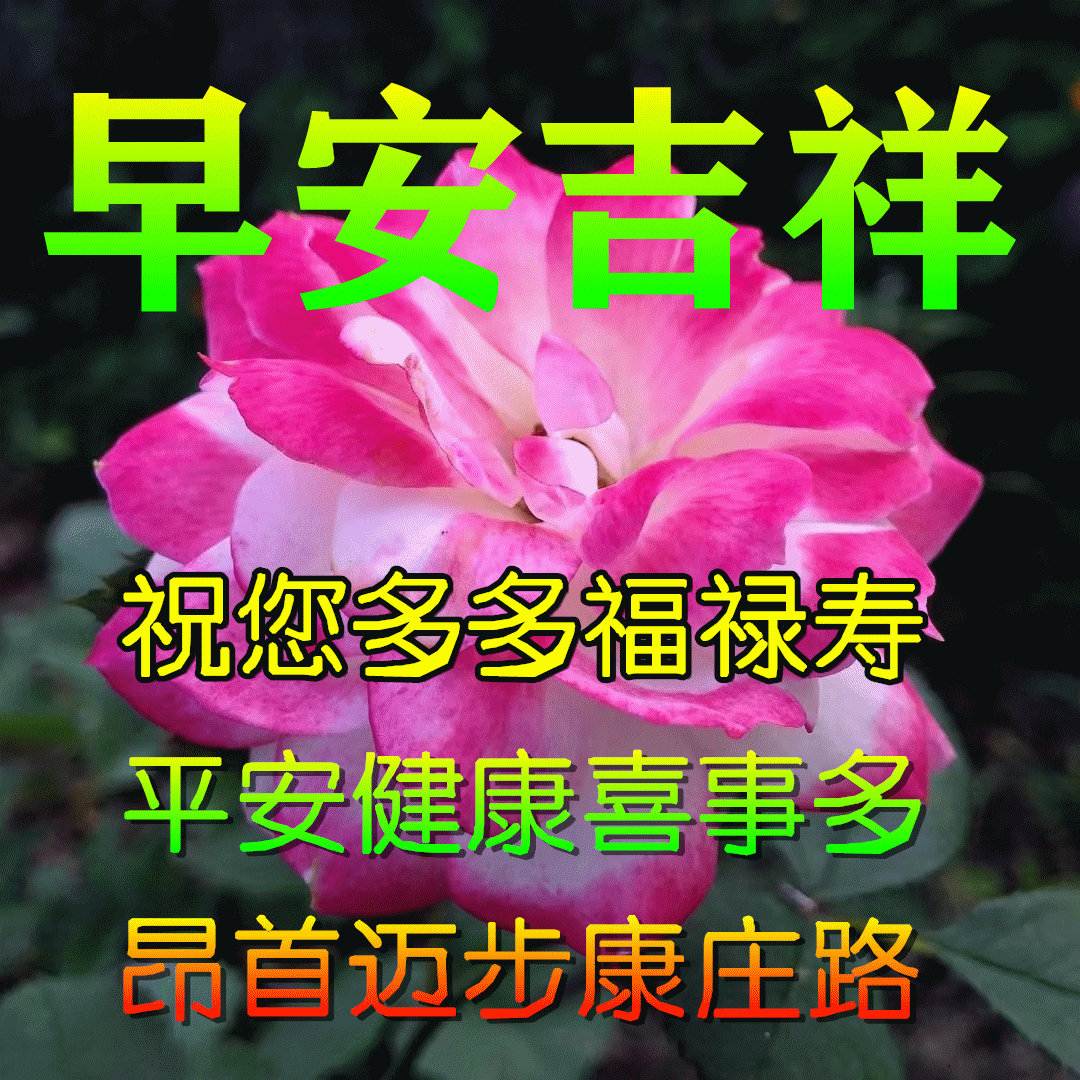 今日最新早上好问候祝福语精选，早上好新版祝福问候句子精选