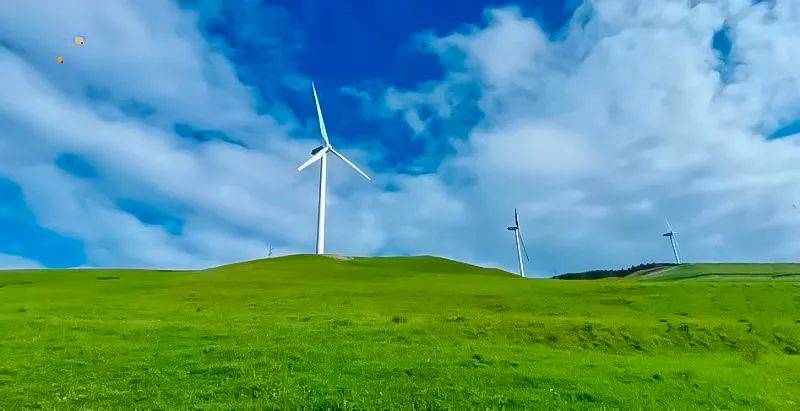 1日|徒个61甸子梁|蔚县空中草原の大草甸大风车和成群羊群-10公里