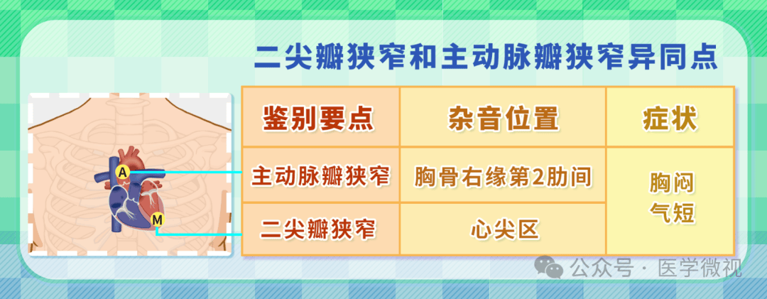 二尖瓣狭窄和主动脉瓣狭窄、二尖瓣关闭不全怎么区分？(图1)