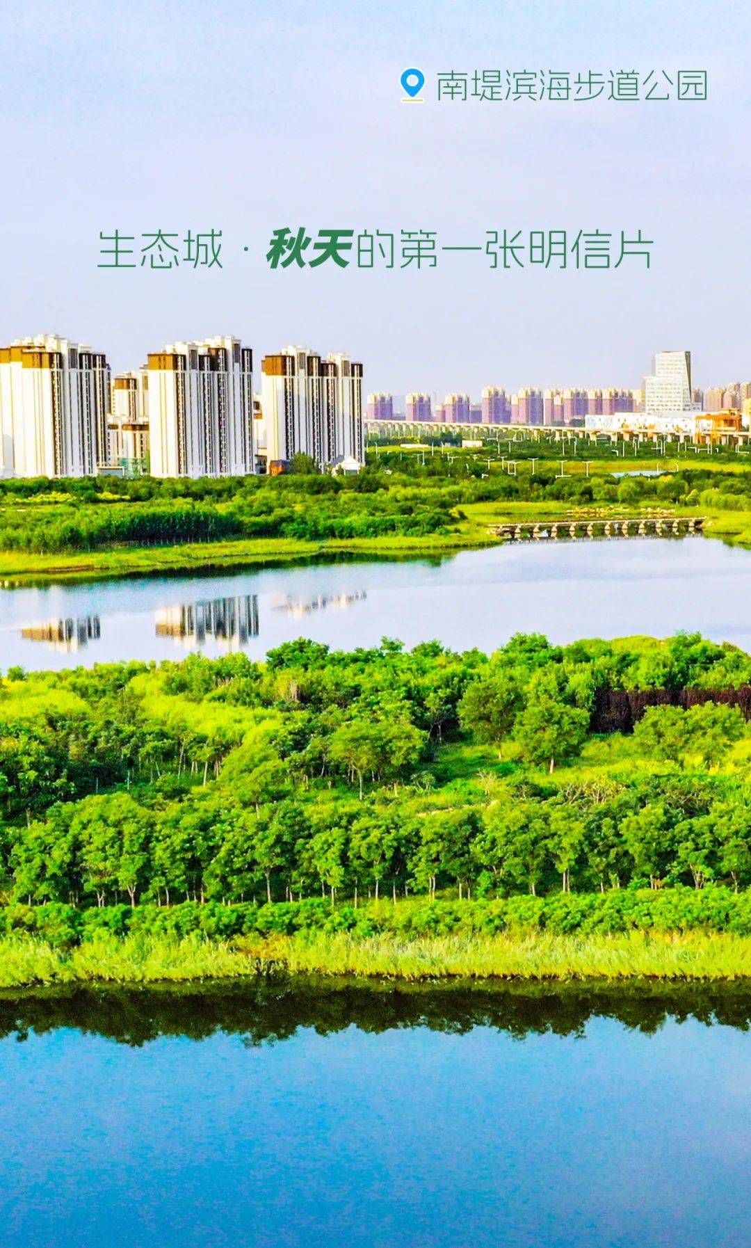 生态城天气预报