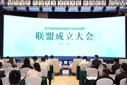 沽源县县长任强围绕沽源藜麦产业的发展历程,市场需求和未来发展趋势