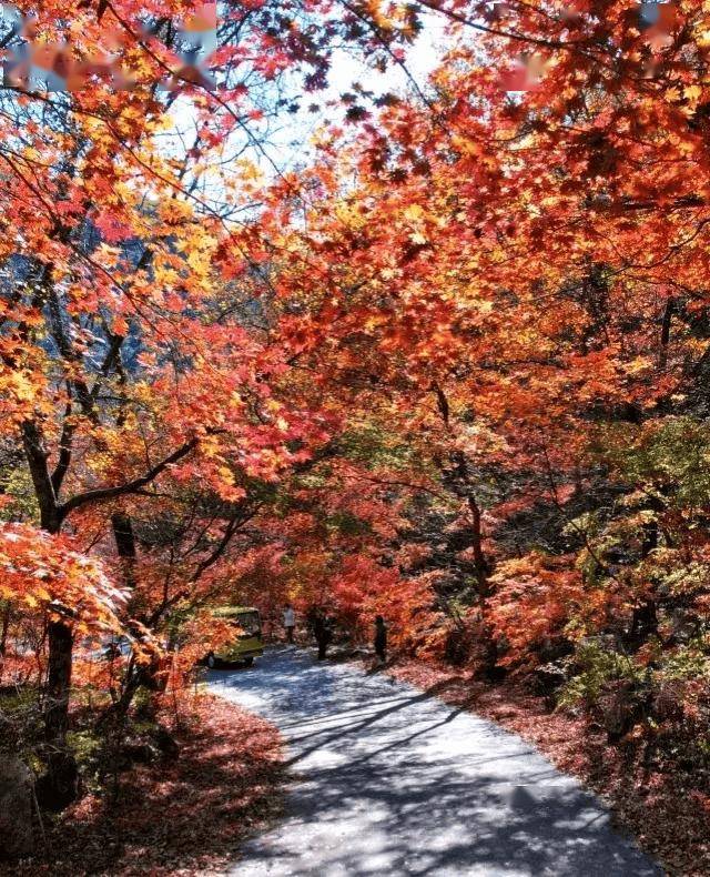 人生建议:10月一定要去中国枫叶之都关门山