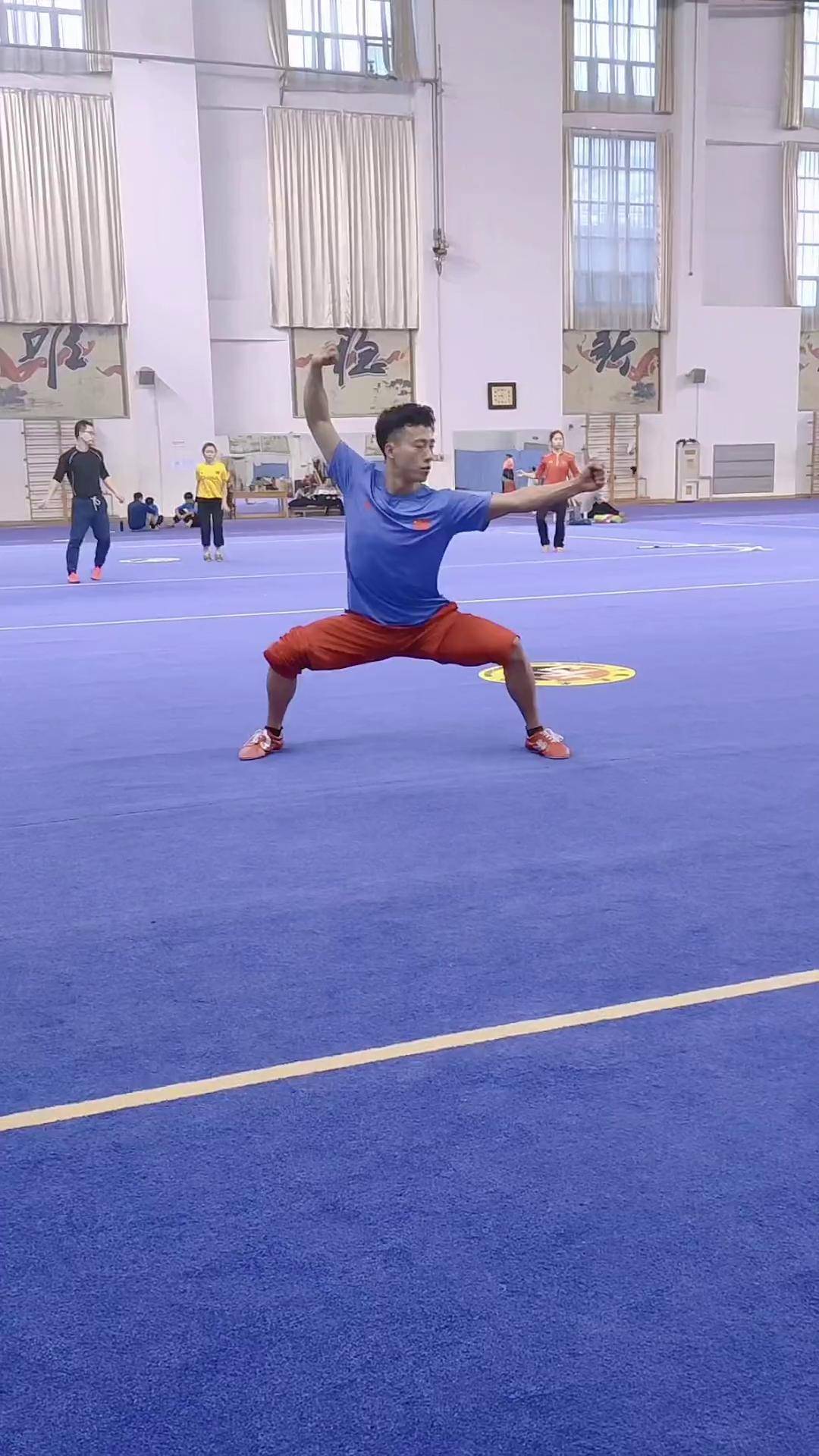 武术指定组合（武术组合动作有哪些）《武术组合动作的定义》