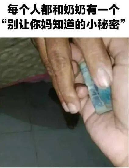 社会边角料，奶奶的小骄傲！